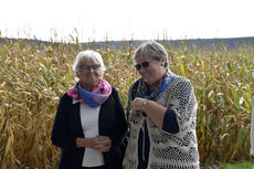 Erkundung von Heimerads Heimat Meßkirch